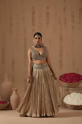 Krisha Lehenga