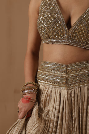 Krisha Lehenga