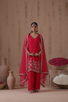 Raina Sequence Sharara Set