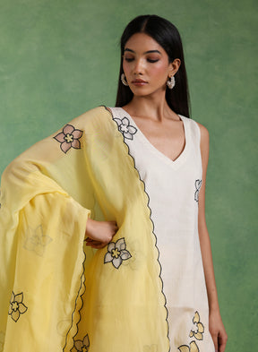 Aarika Palazzo Set
