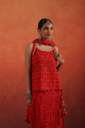 Zunaira Crinkled Lehenga Choli Set