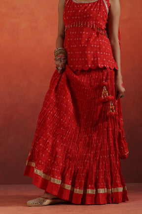 Zunaira Crinkled Lehenga Choli Set