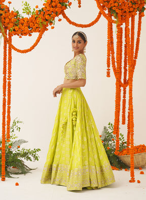 Janki Embroidered Lehenga Set