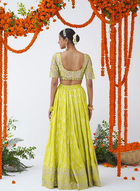 Janki Embroidered Lehenga Set