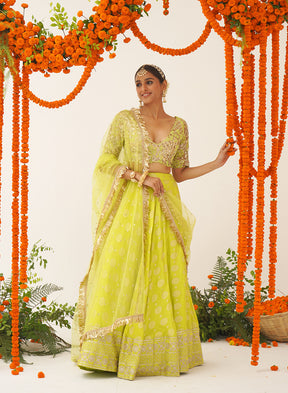 Janki Embroidered Lehenga Set