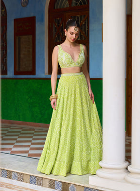 Bani Pearl Embroidery Lehenga Set