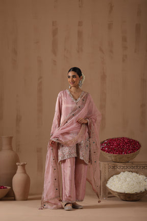Blush Pink Embroidered Tissue Kurta Palazzo Set - full outfit