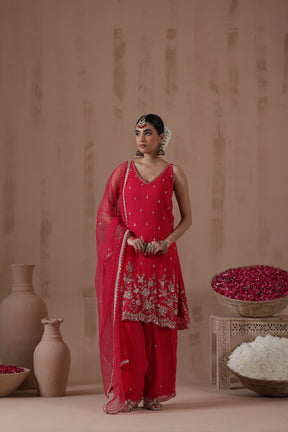 Raina Sequence Sharara Set - complete outfit